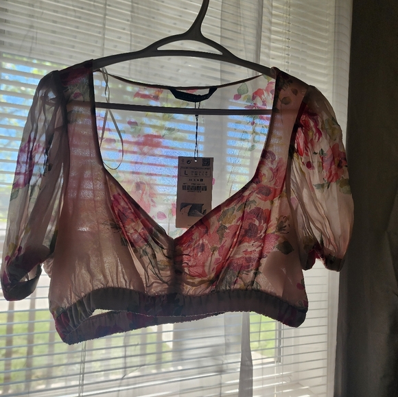 Zara - Picture 6 of 8